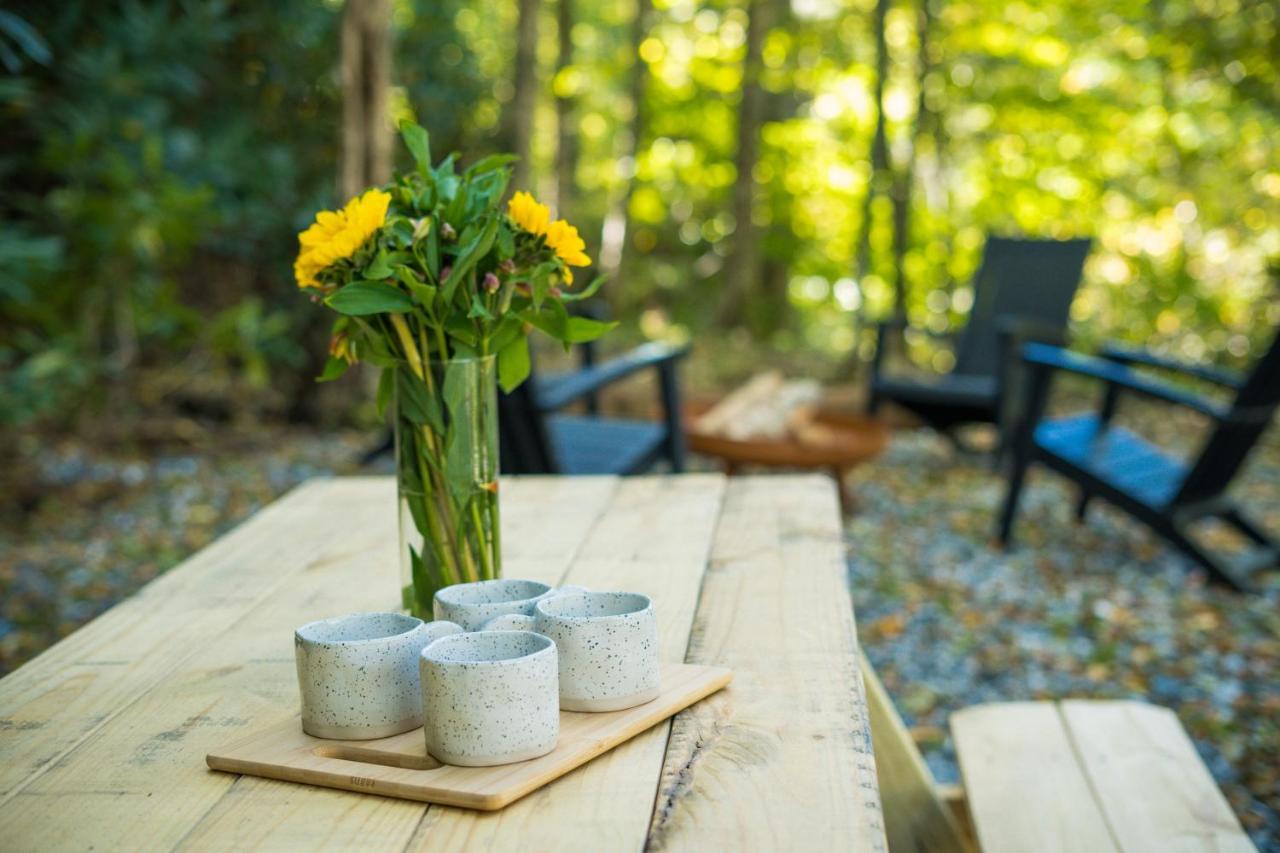 Sunflower Suite At The Wanderer Boone Extérieur photo